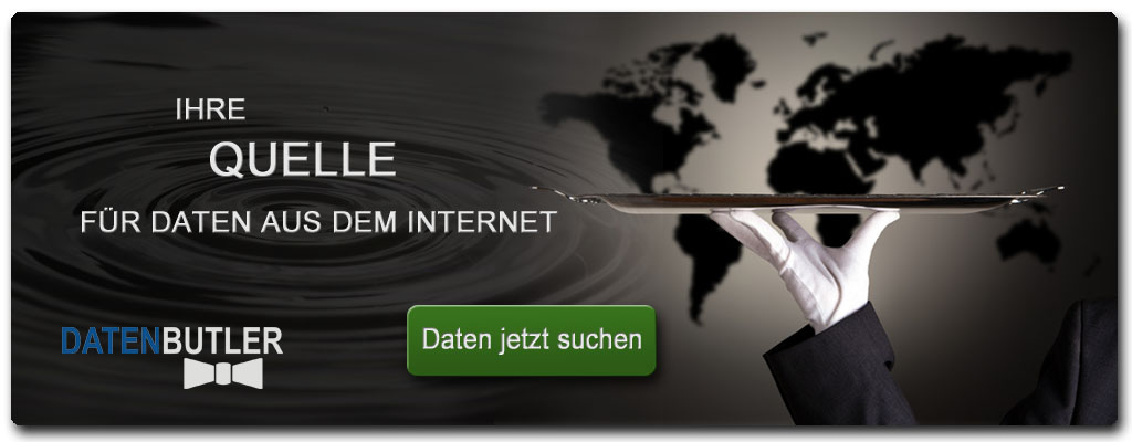 Daten aus dem Internet